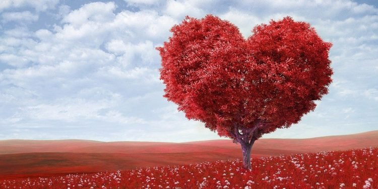 স্বপ্নময়ী