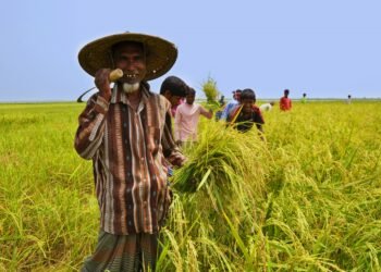 কৃষি আইন : নতুন আইন আদৌ কি শ্রমিকের নাকি পুঁজিপতির গোষ্ঠীর স্বার্থে?