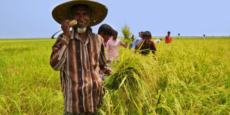 কৃষি আইন : নতুন আইন আদৌ কি শ্রমিকের নাকি পুঁজিপতির গোষ্ঠীর স্বার্থে?