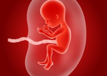 মানব সৃষ্টির বিস্ময়কর ঘটনা ও শুক্রানু থেকে জরায়ুতে ভ্রুণ বিকাশের বর্ণনা