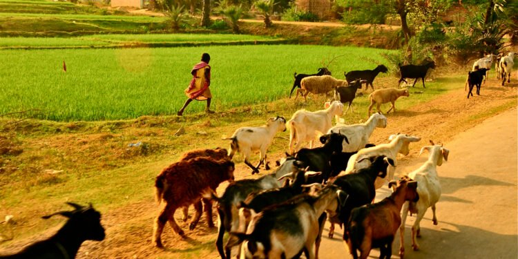 ময়ূরাক্ষী তীরবর্তী বীরভূম : ইতিহাস, সংস্কৃতি ও সমাজের সন্ধানে